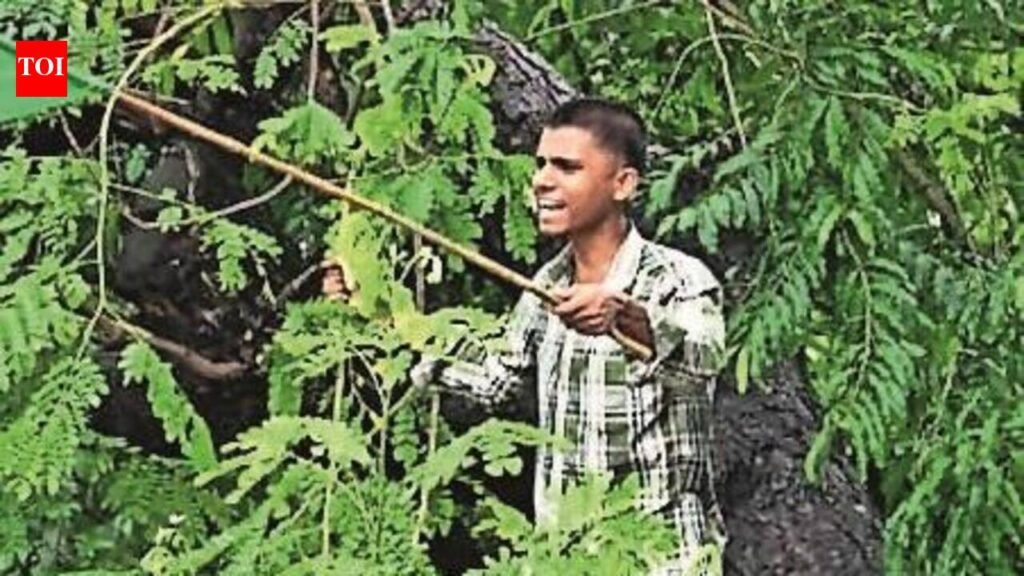 Euphoric in victory, youth flag policy fatigue, E20 rule; Mumbai student groups plan coalition | Mumbai News