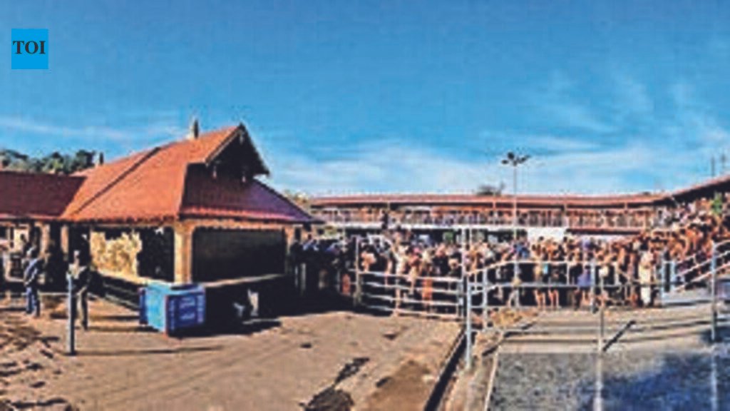 Sabarimala gets Rs 450cr road upgrade push | Thiruvananthapuram News