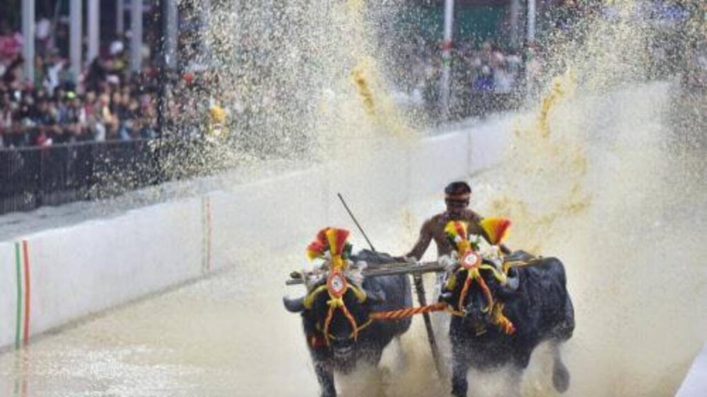 CM to decide on kambala at Dasara, inauguration invitee finalised | Mysuru News