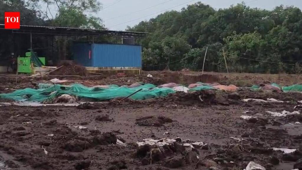 Drowned buffaloes raise stink in Valsad village | Surat News