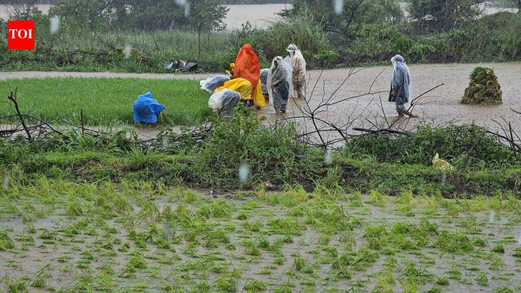 As details of tax-paying farmers emerge, loan waiver beneficiaries reduce by 1.4 lakh | Mumbai News