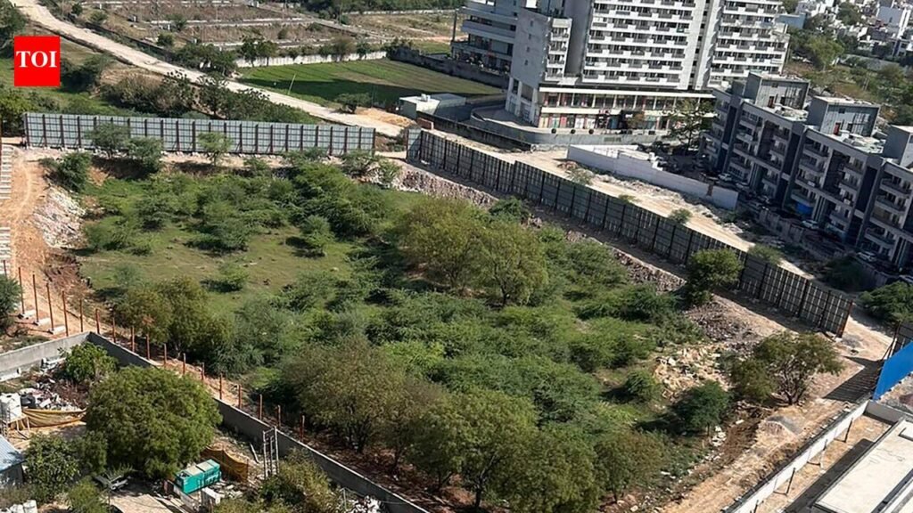 Construction waste plant faces heat over approval, tree-felling charges | Gurgaon News