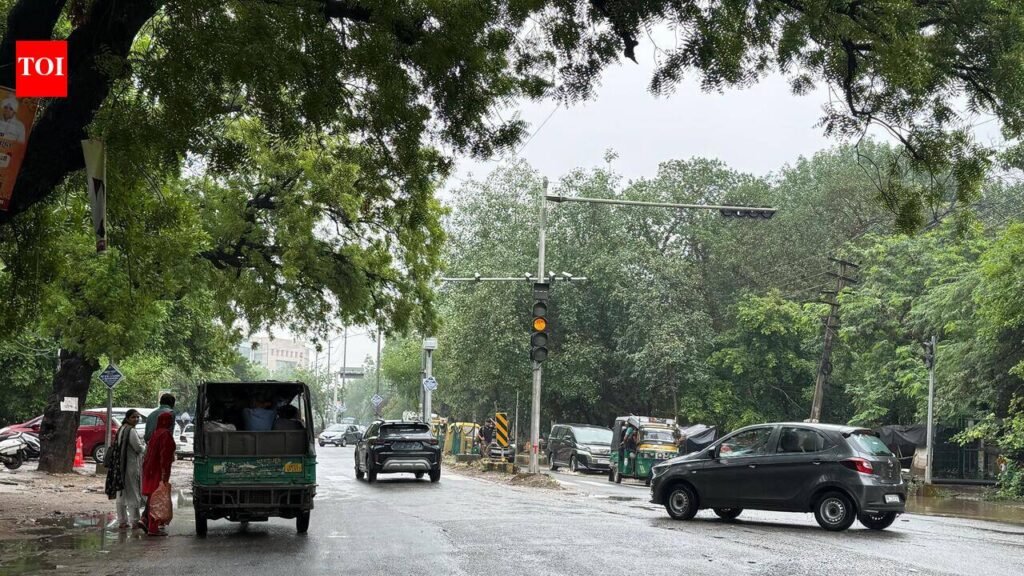 RWA moves NGT against SEIAA stand on Amaltash environmental clearance in Gurgaon | Gurgaon News