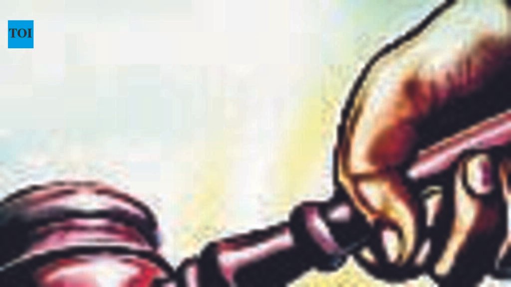 Raj HC mandates ECI’s participation in Jaipur-Rural Lok Sabha election dispute | Jaipur News