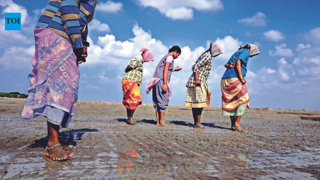 Rural Tamil Nadu Heat Exposure Raises Miscarriage Risk, Study Finds | Chennai News