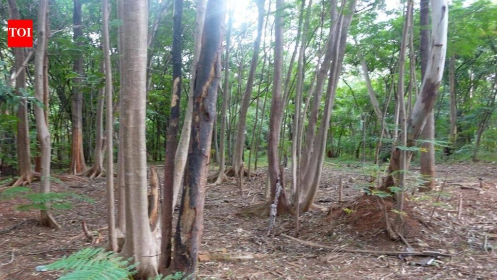 Karnataka high court restrains govt from taking over HMT’s Jalahalli land | Bengaluru News