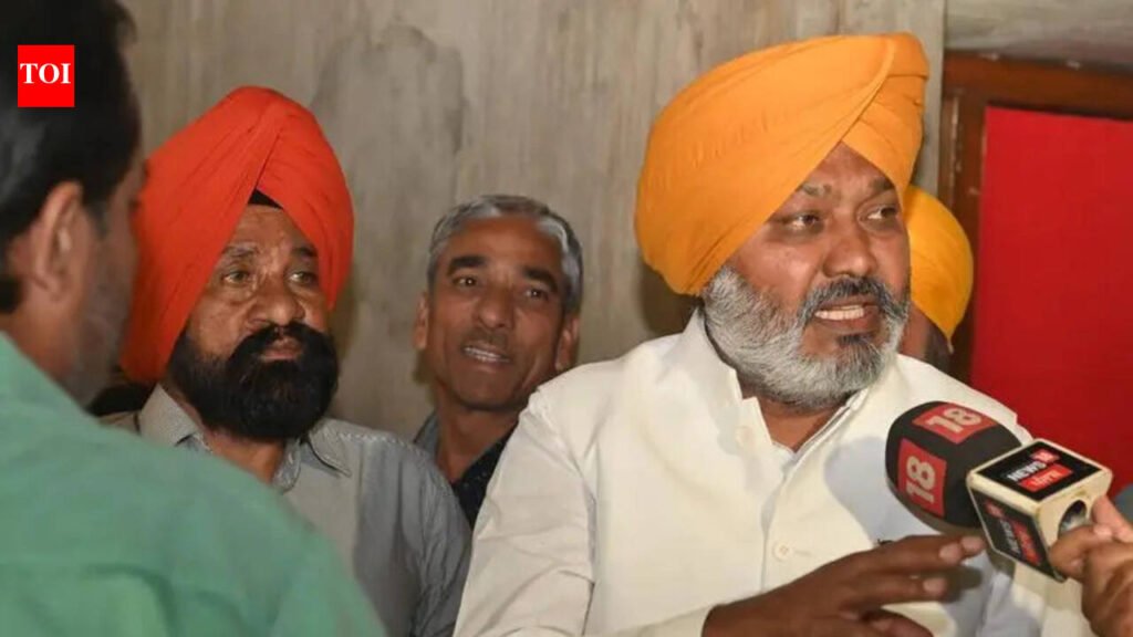 Employees end strike, VB-G Ram G rollout today: Punjab finance minister Harpal Singh Cheema | Chandigarh News