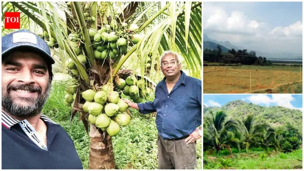 R Madhavan turns barren land into lush coconut farm in Tamil Nadu; 3-year eco-friendly project brings back biodiversity, actor plans expansion across India | Hindi Movie News