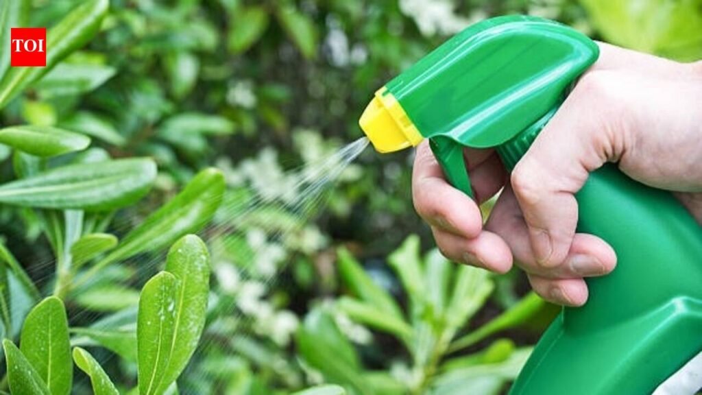 Lantana: Make your own natural garden pest spray: 5 DIY recipes and the plants you should never spray them on