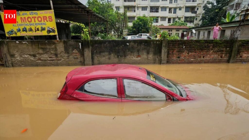 Why electric cars may handle flooded roads better than petrol and diesel vehicles | Delhi News