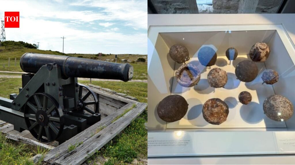A teenager stole five Civil War cannonballs from a historic Alabama fort and tried to fly home with them in a suitcase, but TSA caught the unusual haul | World News