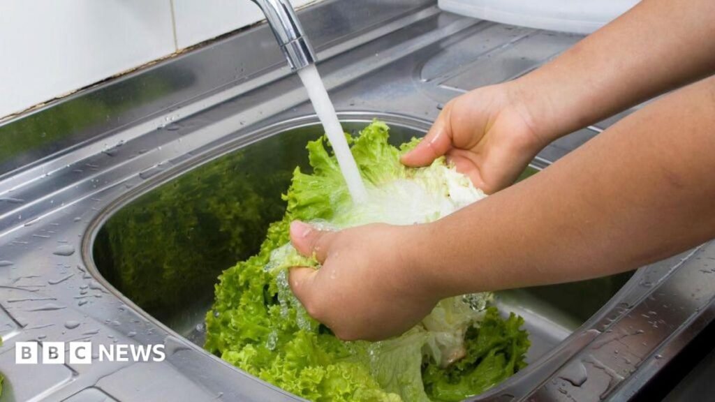 What to know about cyclospora ‘explosive diarrhea’ parasite outbreak in US