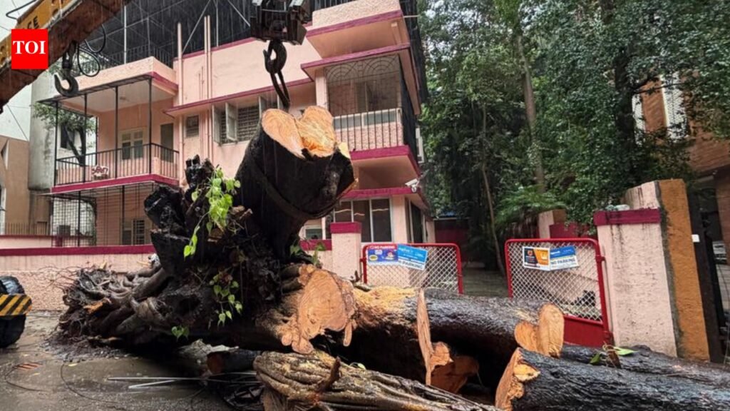 BMC to hold third-party probe into Chembur tree crash death | Mumbai News