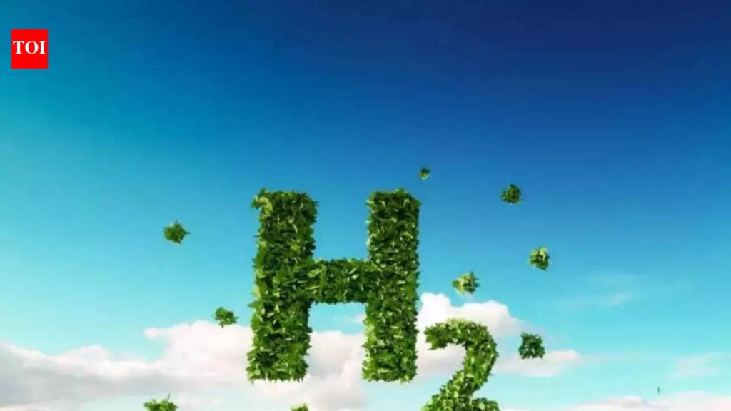 India’s renewable energy boom could make Germany a customer for green hydrogen