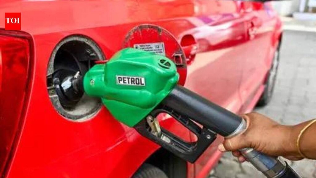 ‘No abnormal wear & tear’: Centre reiterates E20 safe for vehicles