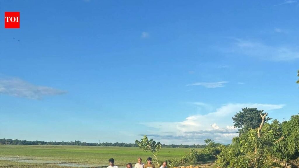 Race against time to seal Jorhat embankment breach to protect communities against surging rivers | Guwahati News