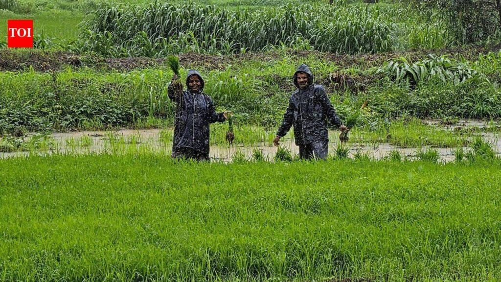 Maharashtra government clears Rs 9.9 crore for farm loan waiver publicity | Mumbai News