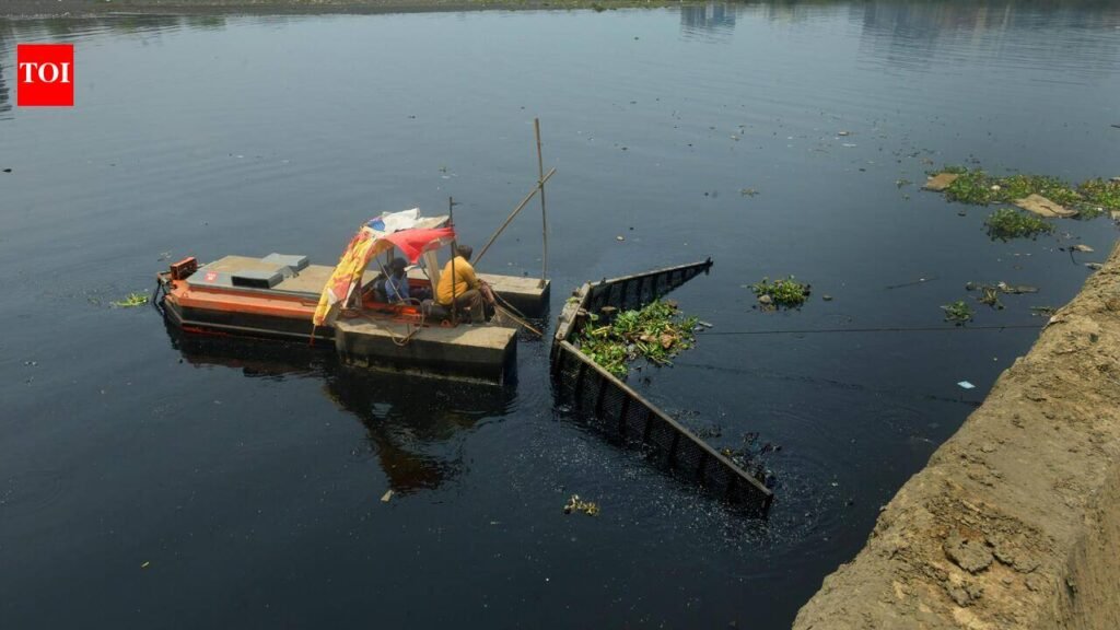 Tansi Nagar residents seek desilting of macro canal on Velachery road | Chennai News