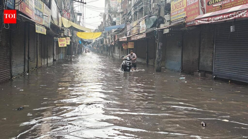 Rain, Garbage & Gridlock: Monsoon Mess In Ludh | Ludhiana News