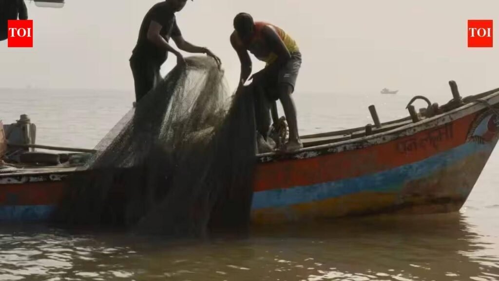 Unions upset as govt announces sudden end of deep-sea fishing ban | Mumbai News