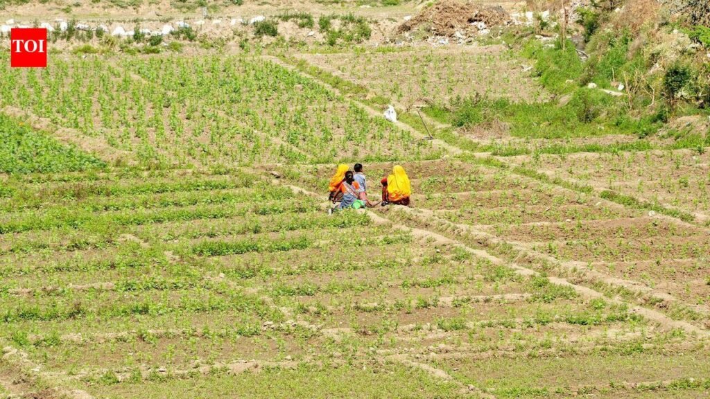 Raj ranks 2nd in natural farming clusters, 3rd in farmer registration | Jaipur News
