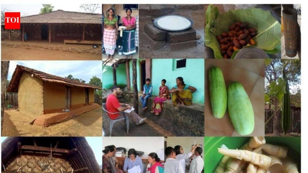 Tribal community diets shape unique gut bacteria, finds study | Pune News