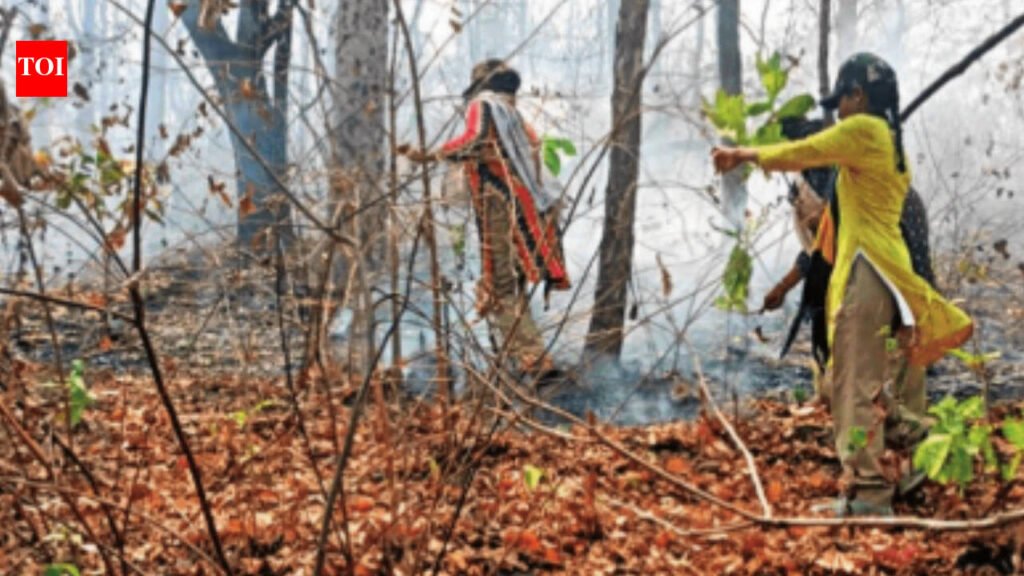 Gender and other battles being won in Telangana forests | Hyderabad News