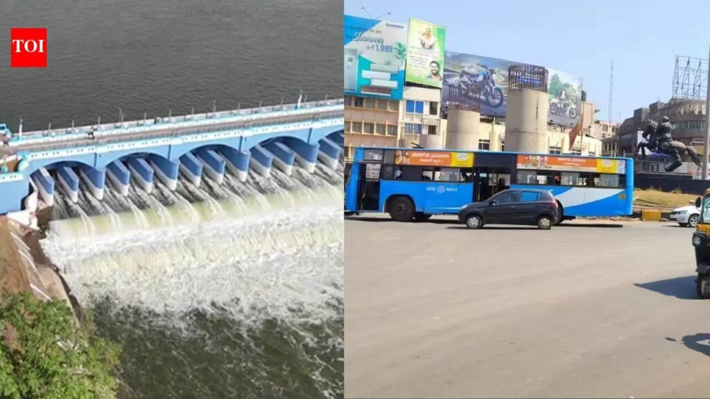 Pro-Kannada groups call Karnataka bandh on August 13 over Cauvery water release row | Bengaluru News