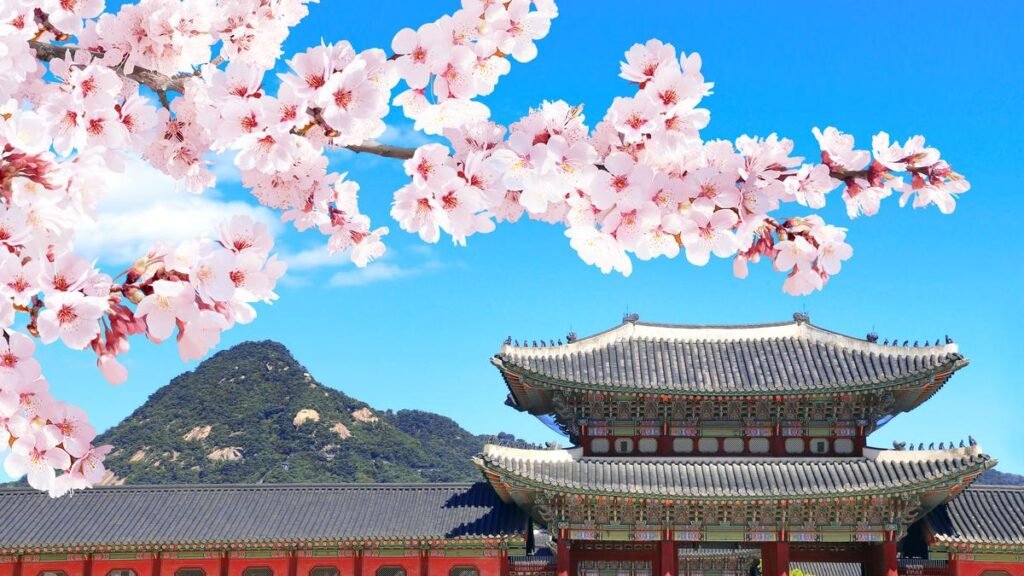 BTS, cherry blossoms, snacks and more: A guide to Seoul this spring