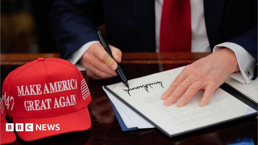 What are tariffs, how do they work and why is Trump using them?