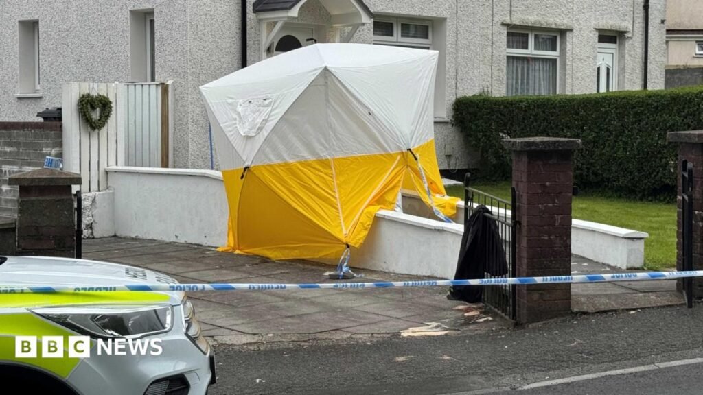 Woman dies after suspected Penydarren assault as man’s body found at reservoir