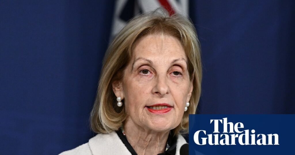 ABC and SBS need ‘oversight’ committee to vet Israel coverage, Jillian Segal tells royal commission | Royal commission on antisemitism and social cohesion