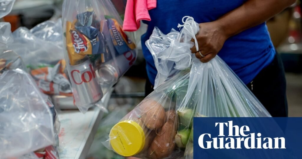 More than 1 million children lost access to food benefits after Trump bill passed | US news