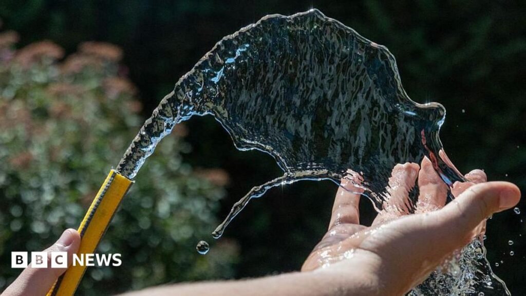 Hosepipe ban extended to Surrey, Sussex, Hampshire and Berkshire