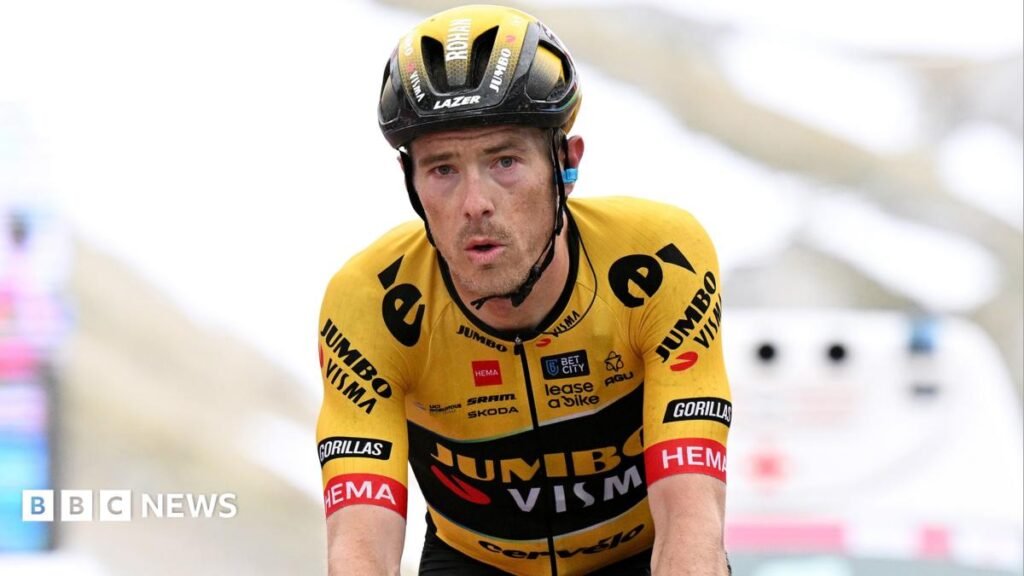Rohan Dennis: Australian Olympic cyclist admits to driving despite ban after crash that killed wife