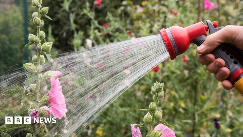 Hosepipe ban in force for millions of households – is your area affected?