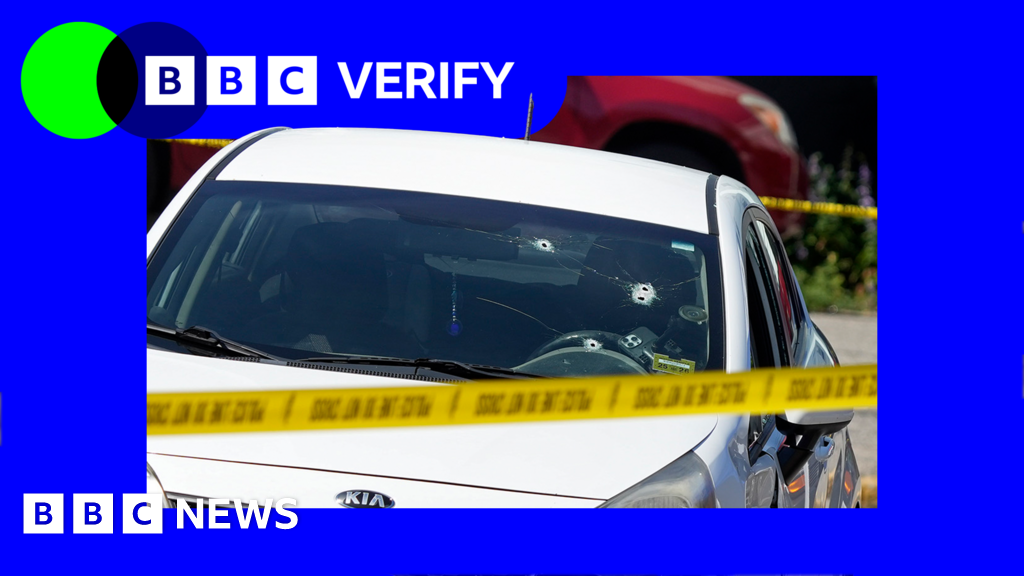 What we know about latest fatal ICE shooting