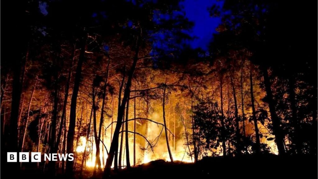 Planes sent to tackle wildfires of ‘exceptional scale’ near Paris