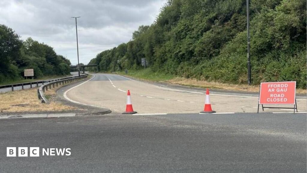 Pedestrian dies after being hit by several vehicles on A40, including police car