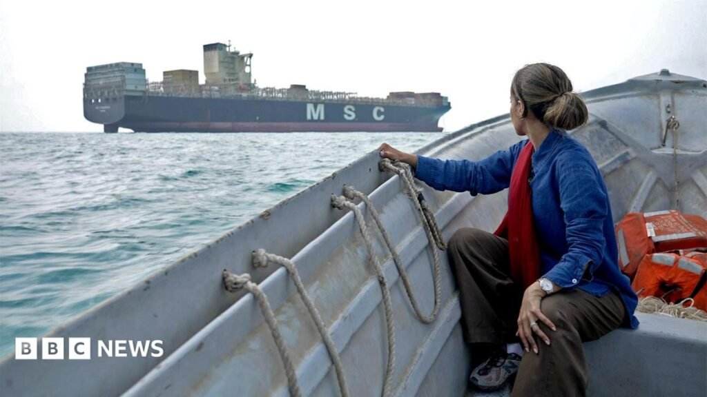 Strait of Hormuz: BBC sees seized ships and stranded tankers on visit to Iran