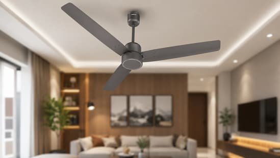 Electricity bills too high? These 5-star rated energy-efficient fans help cut power costs without sacrificing cooling
(HT Tech)