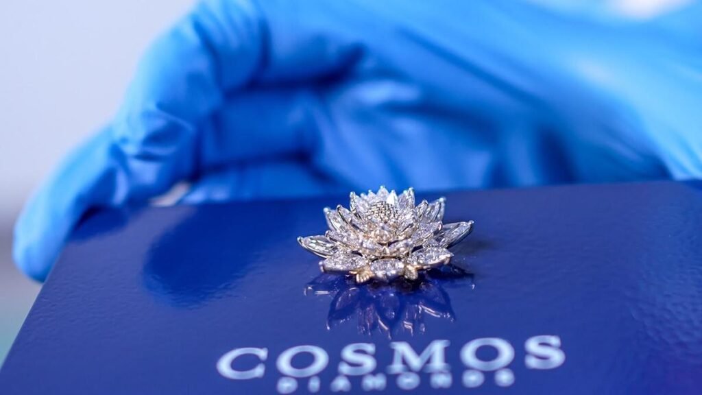 Diamond jewellery, microart cast in shape of 18K gold rocket among payloads to be launched by Vikram-1