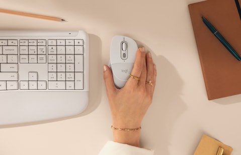 Logitech launches Signature Comfort Plus M850 L mouse with built-in palm support
(HT Tech)