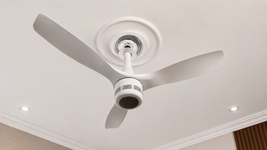 Orient Aero O2 BLDC fan review: The fan that’s trying to change what a ceiling fan can do
(HT Tech)