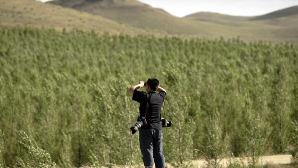 China’s ’Great Green Wall’ tames desert growth, but scientists say fight is not over