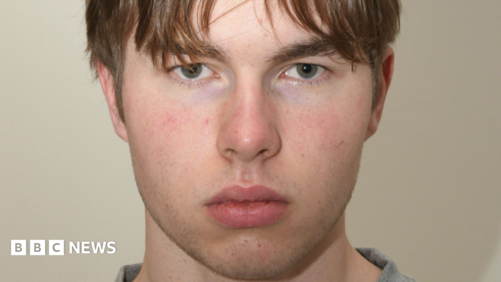 Teenage Norwegian ‘hitman’ guilty of UK murder plot