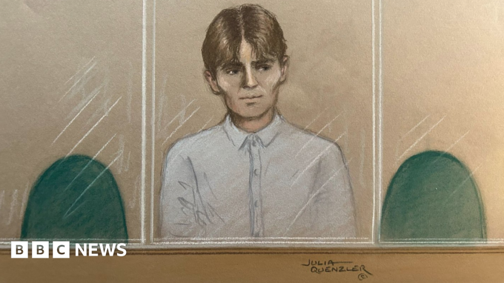 Johannes Natland never intended to carry out ‘hit’, court hears