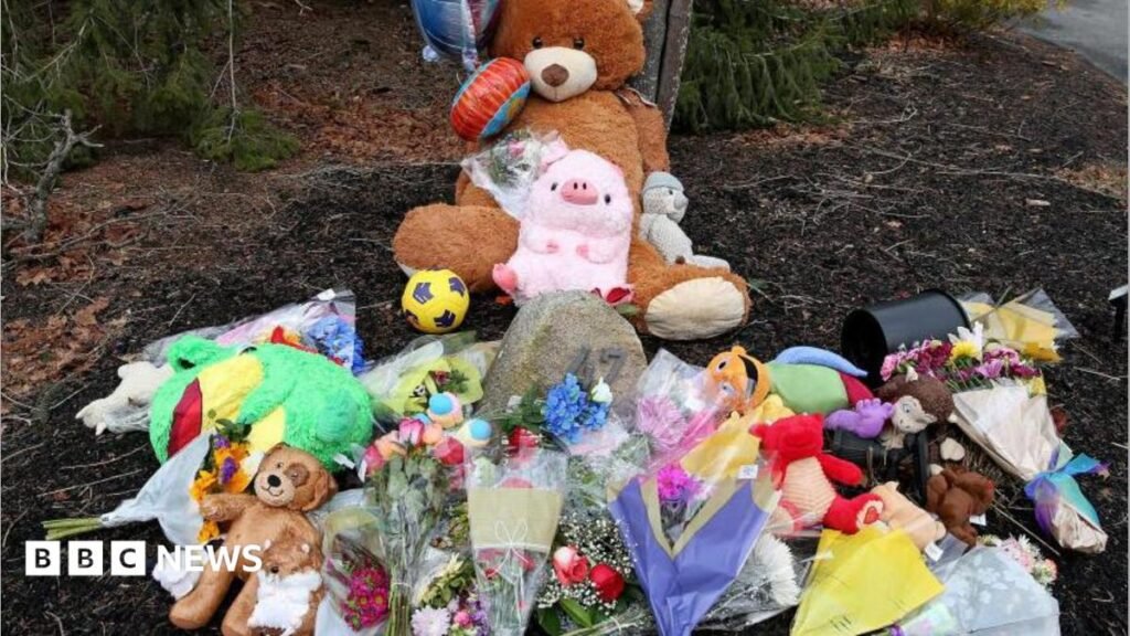 Trial opens for Massachusetts mum who says postpartum issues led her to killing own children