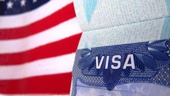 Why was this Indian applicant’s US B1/B2 visa rejected in under a minute? Reddit users weigh in