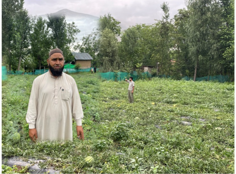 In Anantnag’s ‘Pashtun Village’, watermelon is new identity